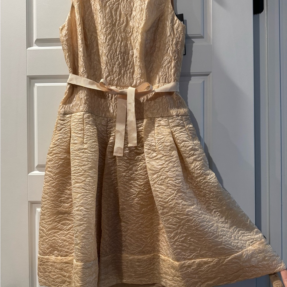 NWT BCBG Delphine DressTextured Party Dress parfait color 👗